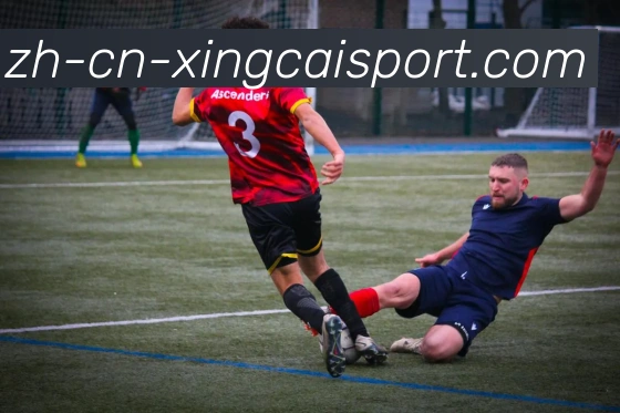 杏彩体育APP 封面图