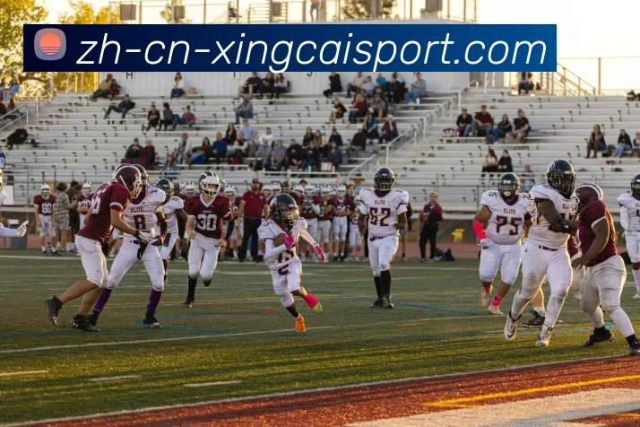 数据防护可视化